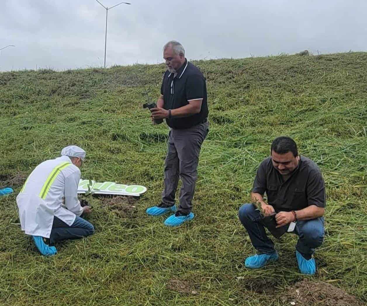 Reforesta el personal de maquiladora Valeo