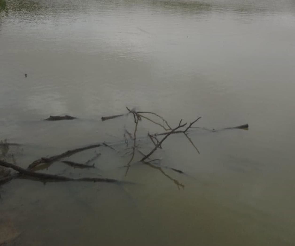 Bendicen lluvias a presas en ranchos de Reynosa