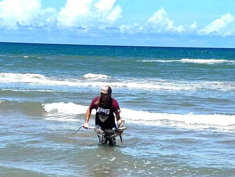 Guardaparques capturan caimán en zona turística