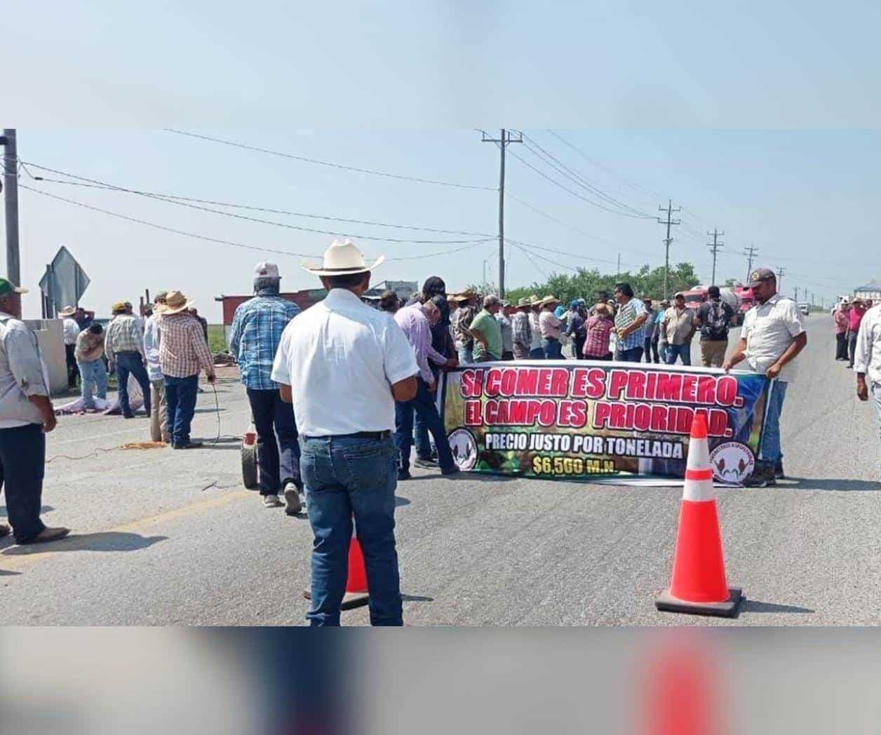 Productores de sorgo de norte de Tamaulipas amenazan con bloqueos