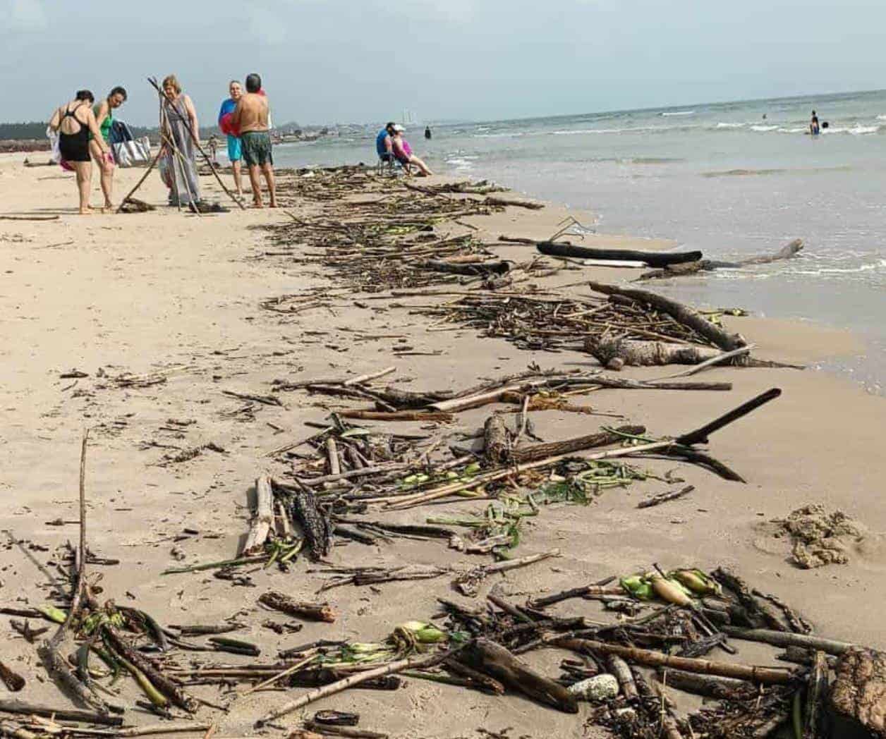 Retiran más de 5 mil toneladas de palizada