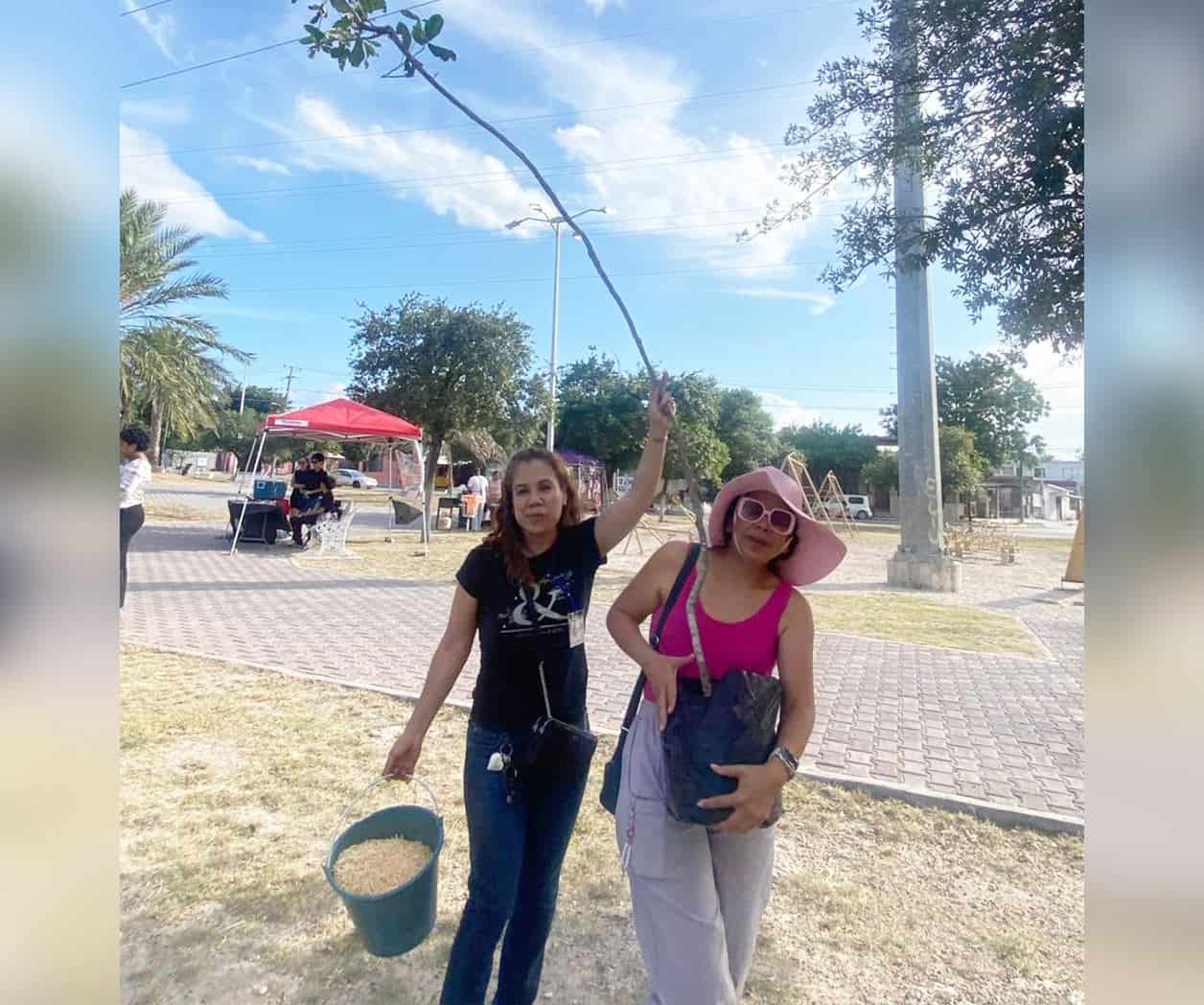 Asociaciones civiles reforestarán plaza del Olmo en Reynosa