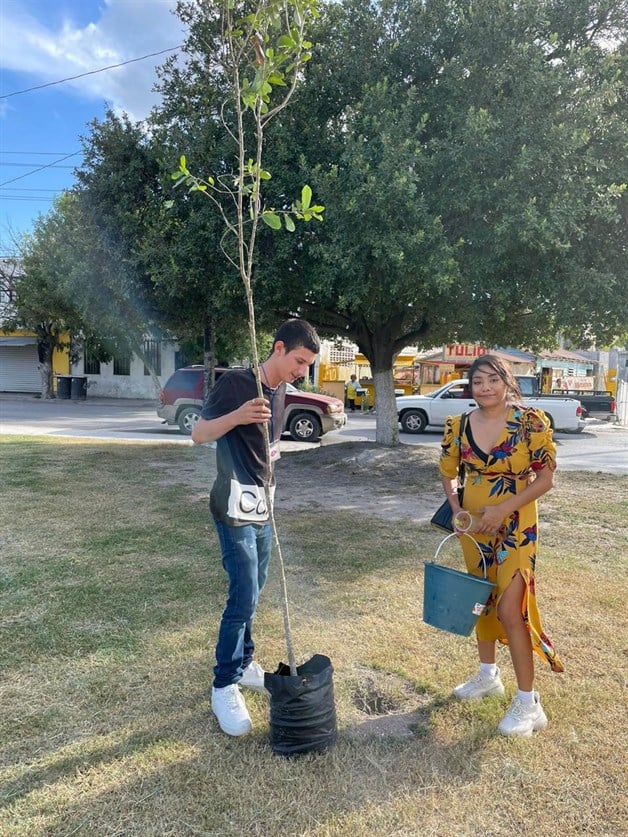 Asociaciones civiles reforestarán plaza del Olmo en Reynosa