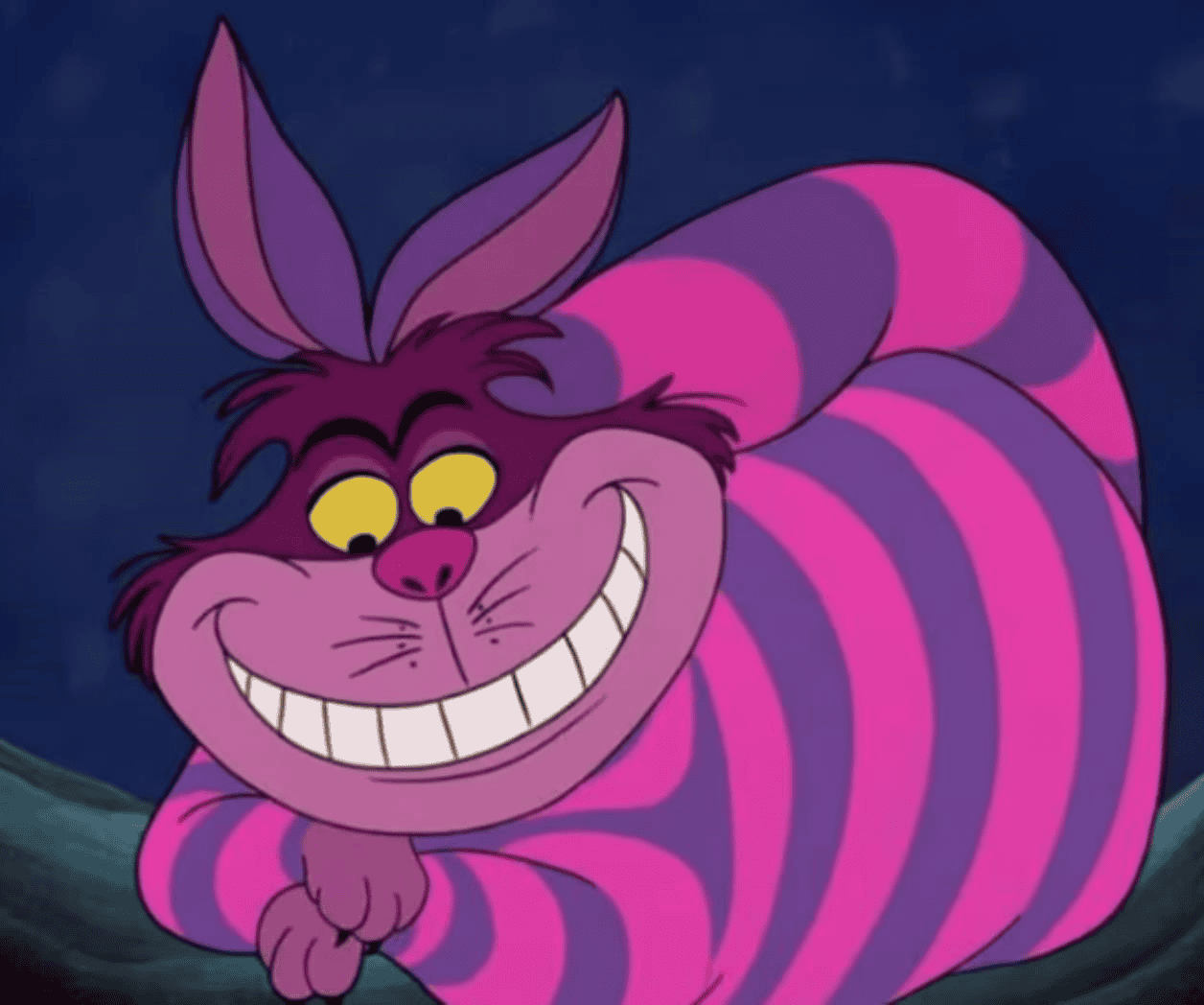 Aventuras felinas en el Día Mundial del Gato