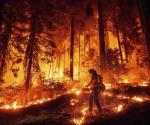 Avanza incendio en California
