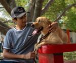 La UAT invita a adoptar héroes caninos