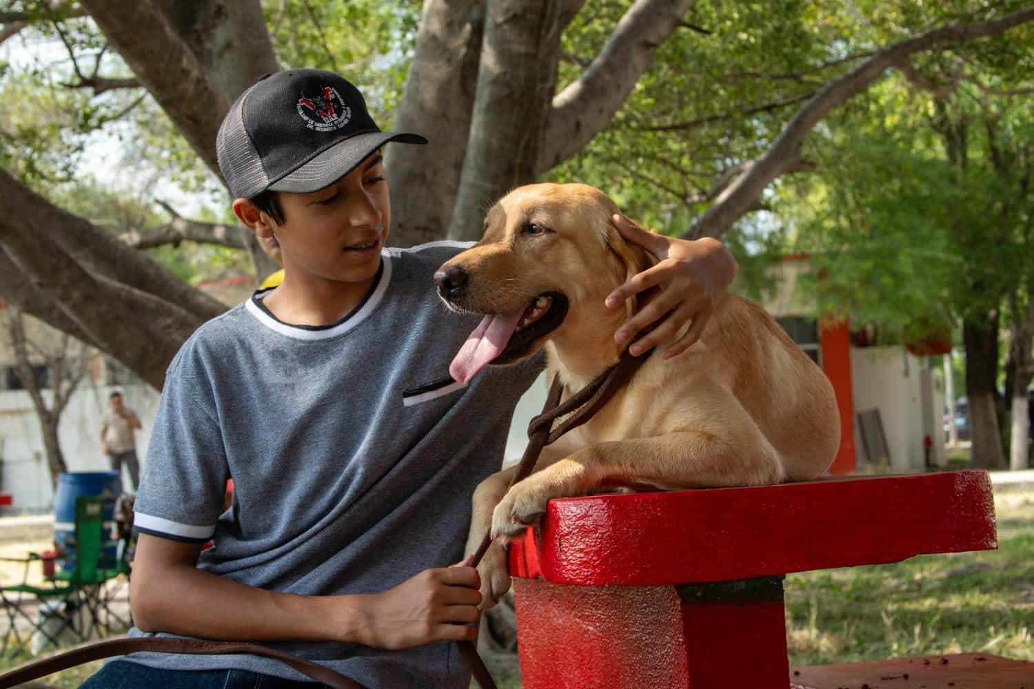 La UAT invita a adoptar héroes caninos