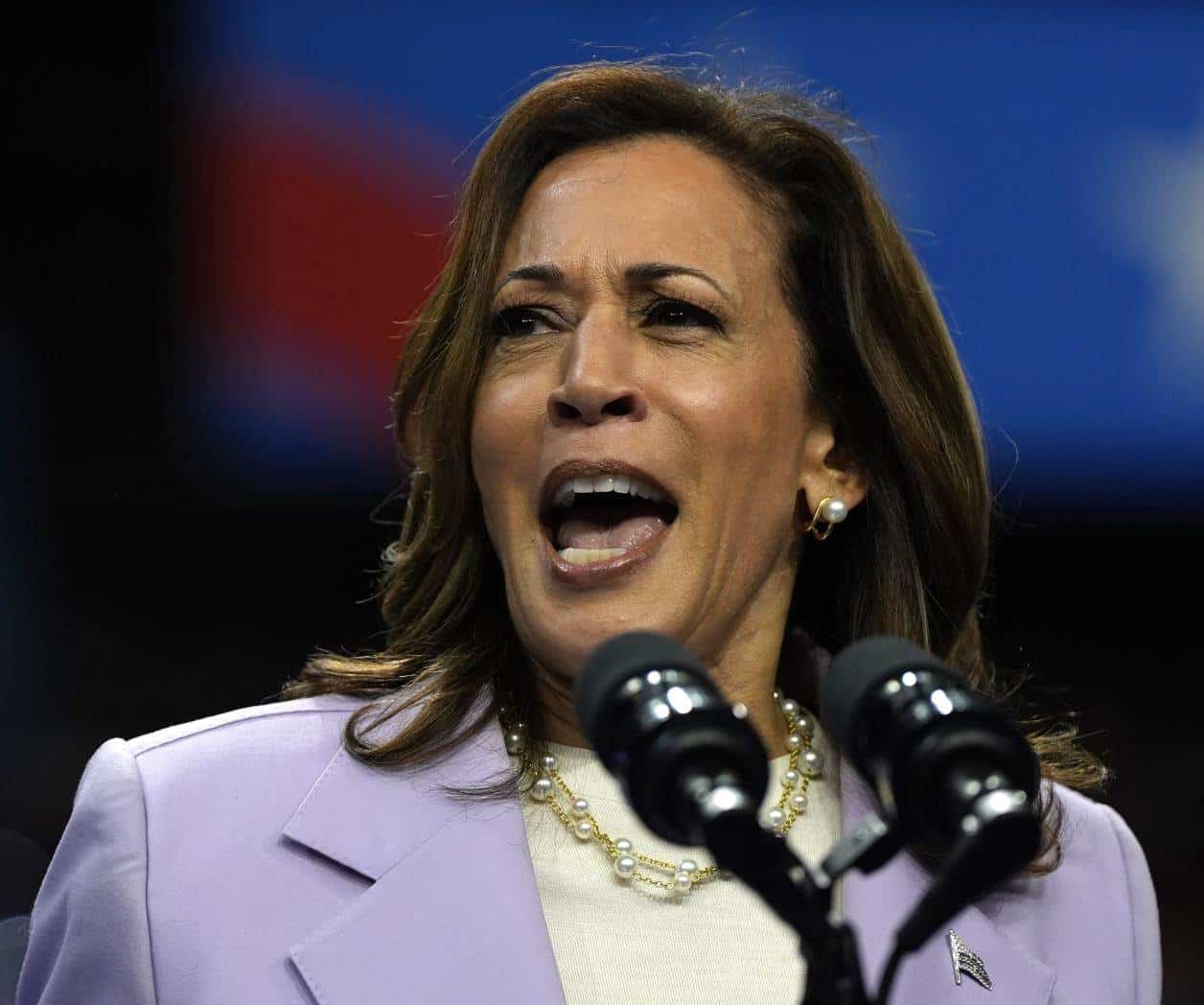 Millonaria inversión para estrategia publicitaria de Kamala Harris