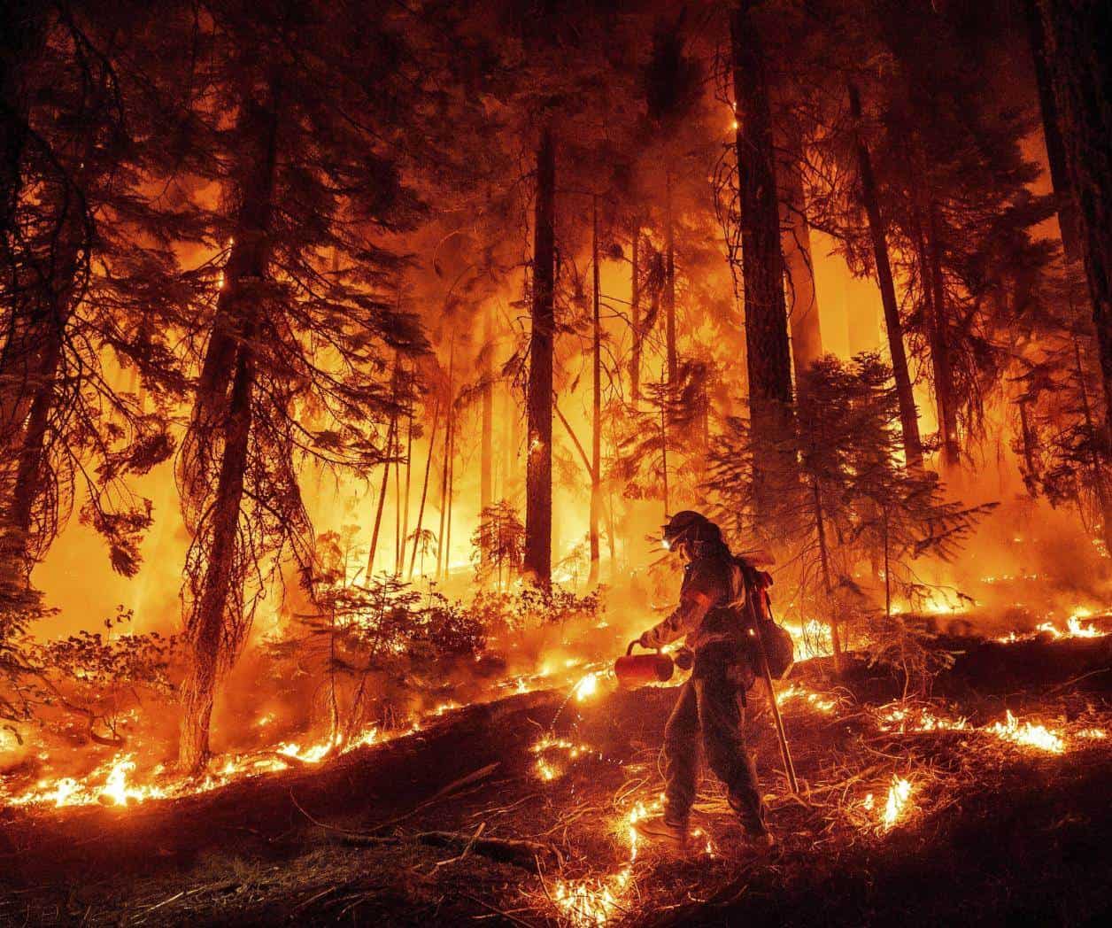 Actualización del incendio forestal en California Actualización del incendio forestal en California