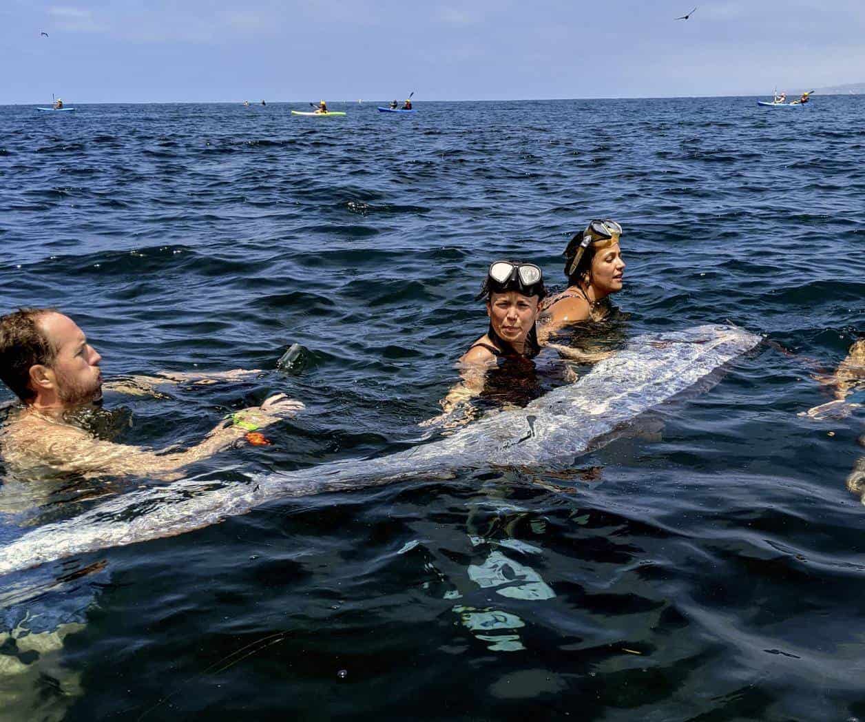 Hallan pez de aguas profundas poco común