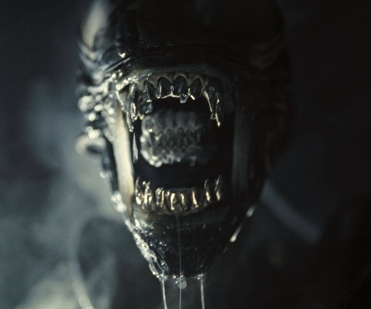 Fede Álvarez lleva la saga Alien a un nuevo nivel