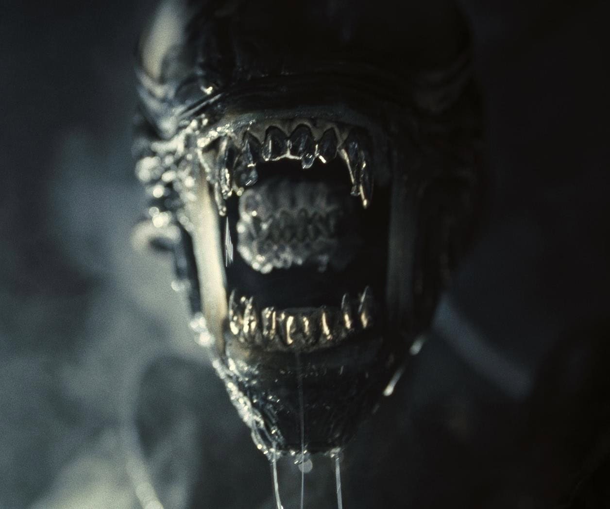 Alien: Romulus tiene exitoso estreno con el primer lugar de las taquillas Alien: Romulus tiene exitoso estreno con el primer lugar de las taquillas