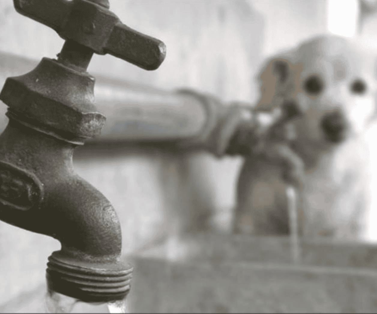 Raciona Comapa suministro de agua en Reynosa