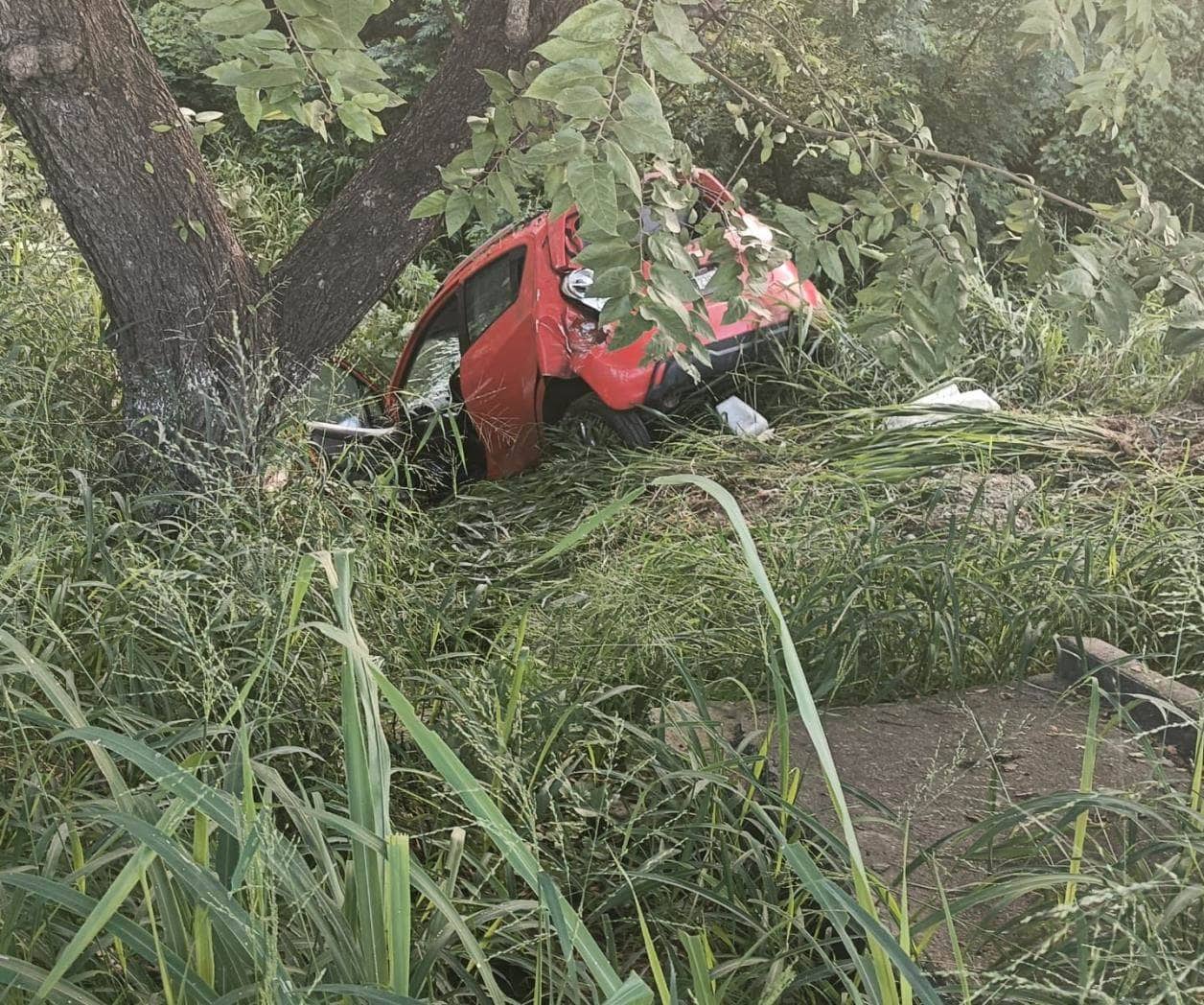 Se va a barranco con todo y carro