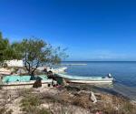 Pesca, a la baja por altas temperaturas en Laguna Madre