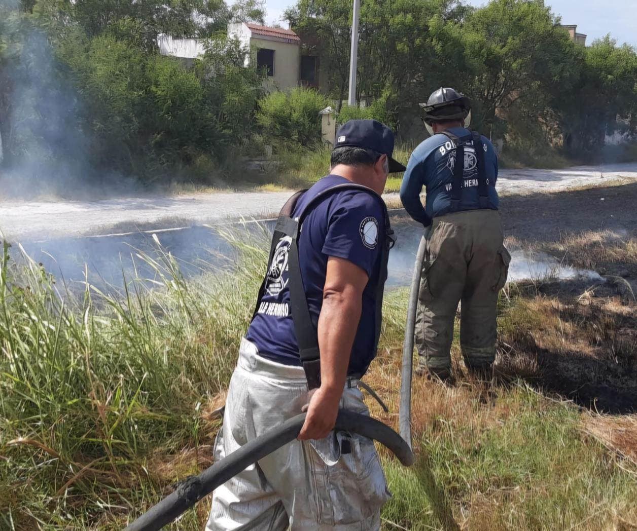 Insuficientes las precipitaciones Insuficientes las precipitaciones