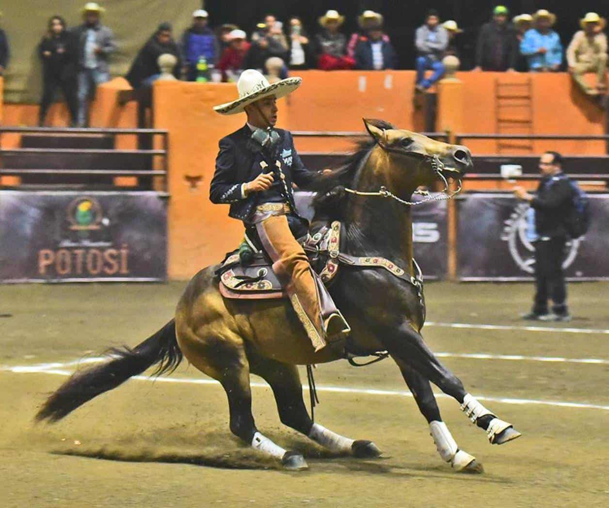Los Tamaulipecos muestran gran nivel Los Tamaulipecos muestran gran nivel