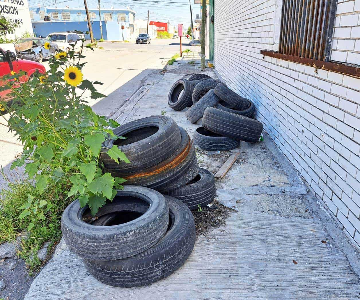 Urgen a la sociedad la descacharrización en Reynosa