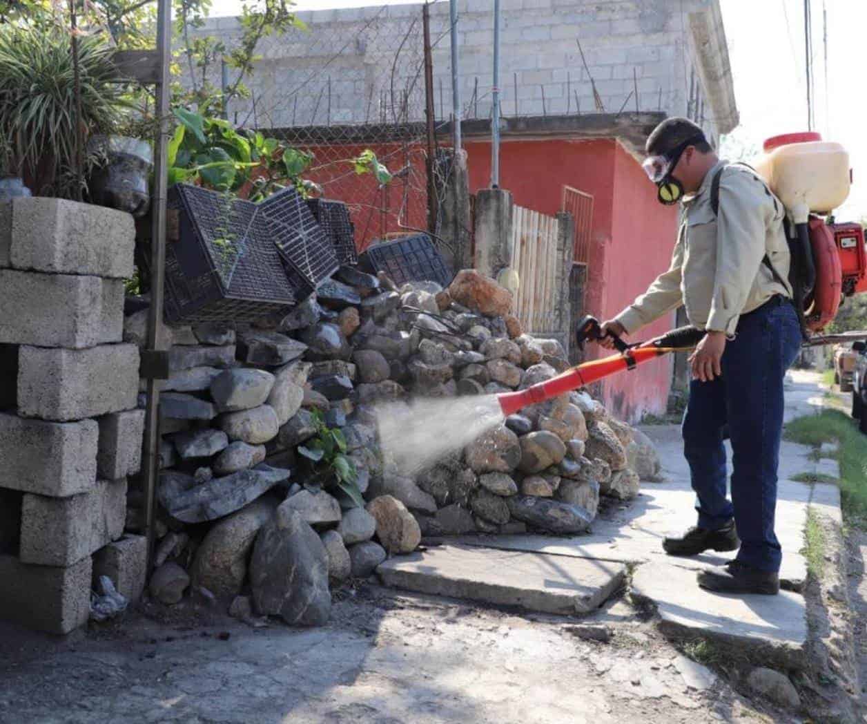 Dengue podría rebasar capacidad de hospitales