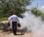 Suman ya 742 los casos de dengue en Tamaulipas