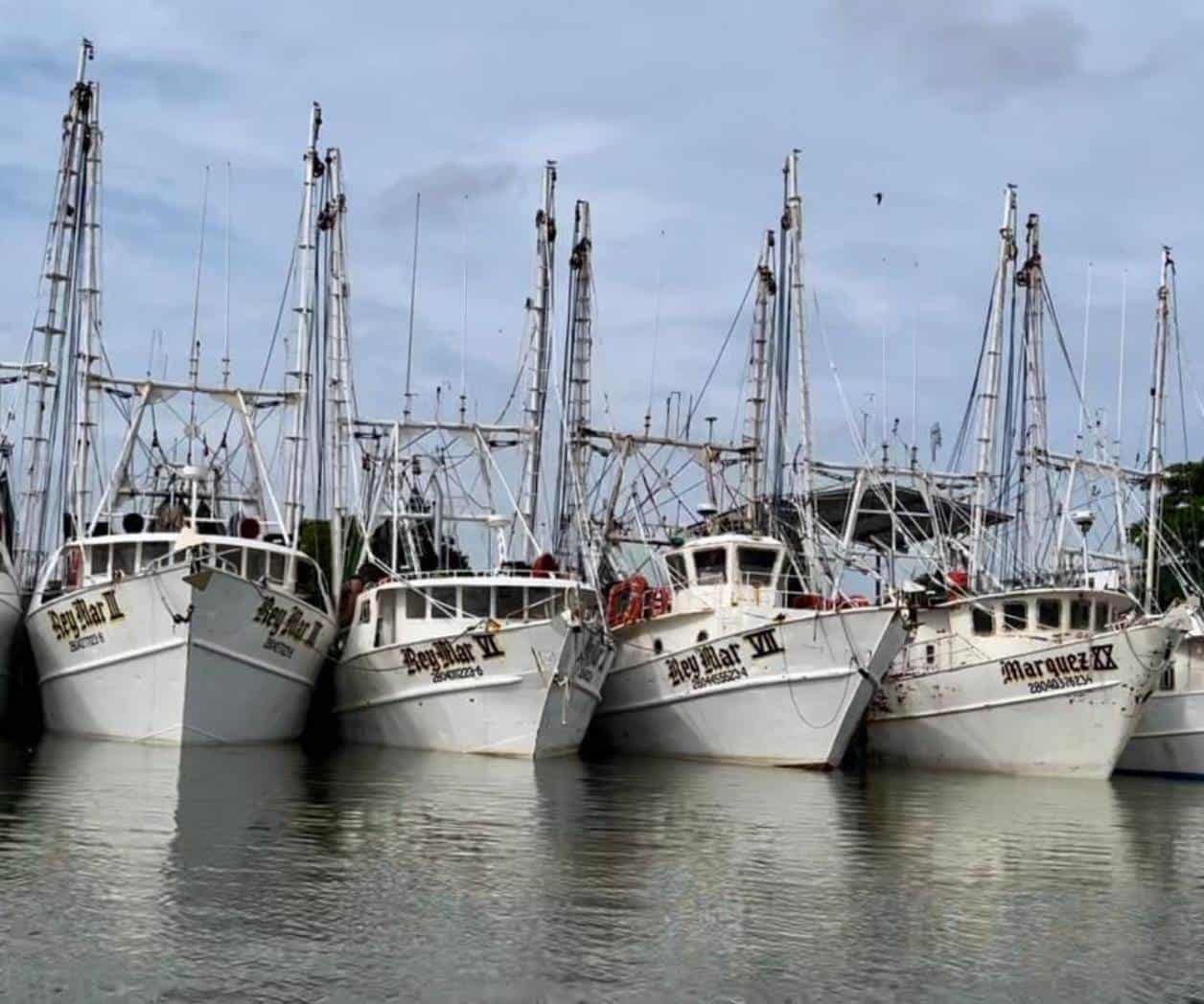 Flota camaronera más grande del Golfo: Es segundo lugar nacional en pesca