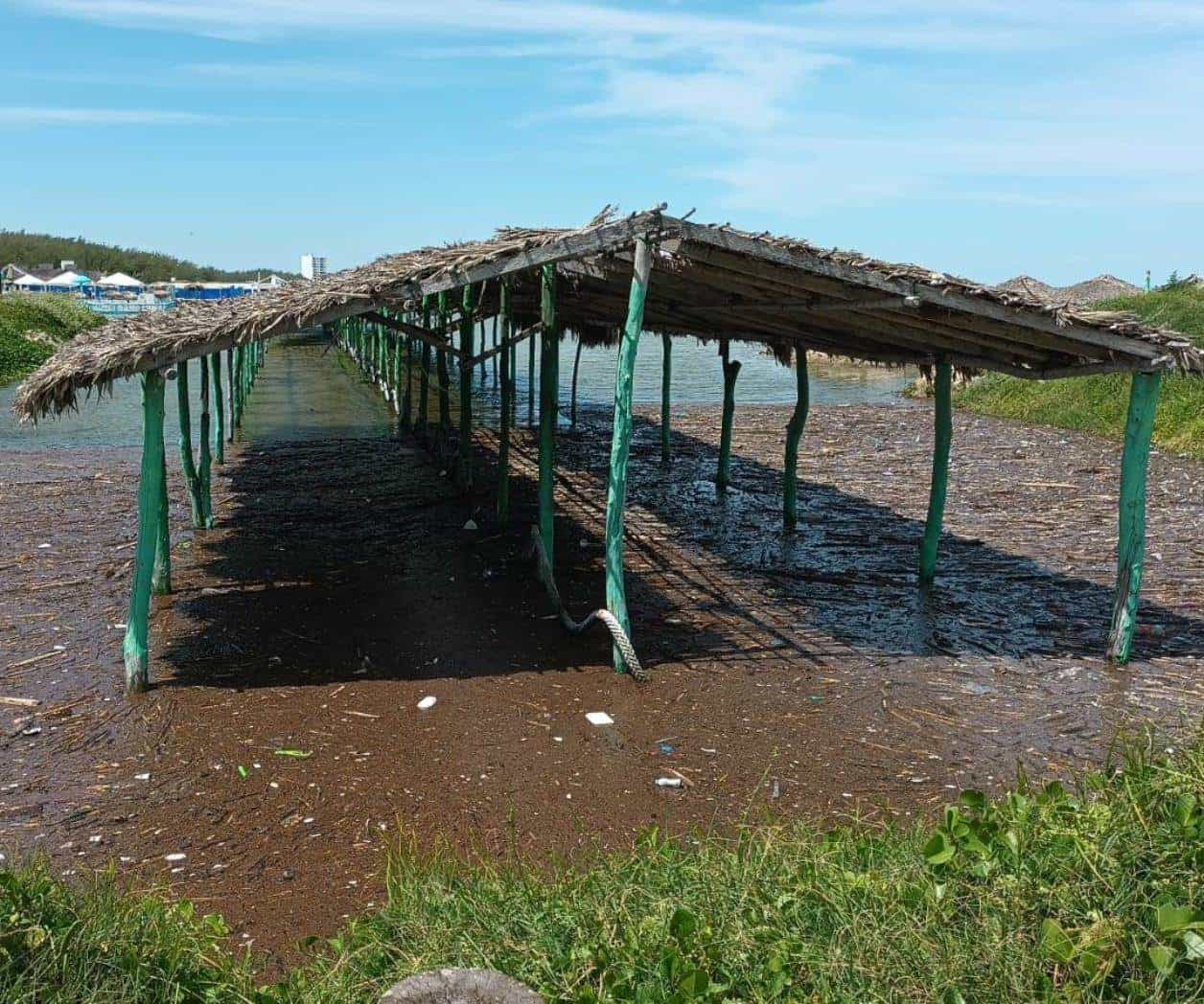 Tras el paso de tormenta Francine: Baja el nivel de playa Miramar