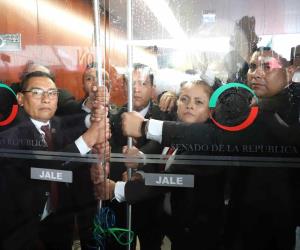 Irrumpen manifestantes dentro de la Sala Superior de la Cámara de Senadores