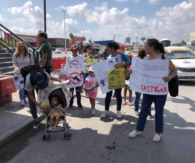 Piden retiro definitivo de carretoneros: Marchan animalistas