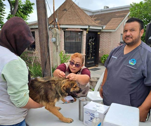 Llaman a vacunar a perros y gatos: Harán jornadas antirrábicas en Reynosa