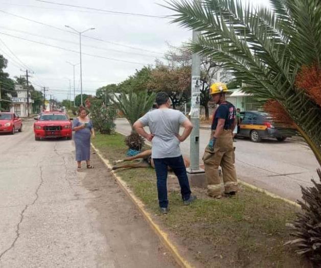 Muerte de un caballo en Altamira Muerte de un caballo en Altamira