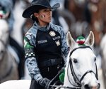 Reforma sobre Guardia Nacional aún sin consensos en Diputados