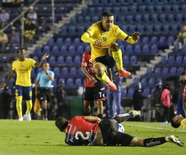 ¡Devoran a Zorros! ¡Devoran a Zorros!