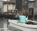 Por delimitación de accesos a pescadores: Preocupa activacion de puerto Matamoros