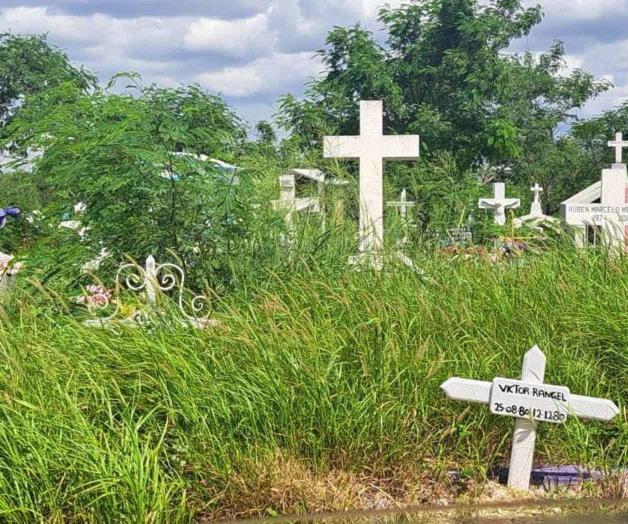 ´Sepulta´ maleza al panteón municipal Sagrado Corazón ´Sepulta´ maleza al panteón municipal Sagrado Corazón