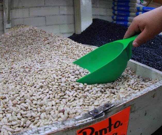 Frijol en México: Importaciones y producción nacional