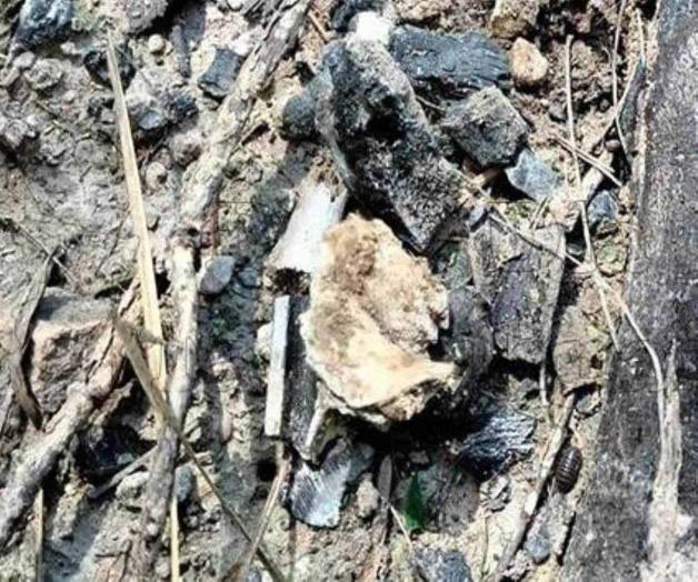 En el ejido La Posta de RB: Ubican campo de exterminio En el ejido La Posta de RB: Ubican campo de exterminio