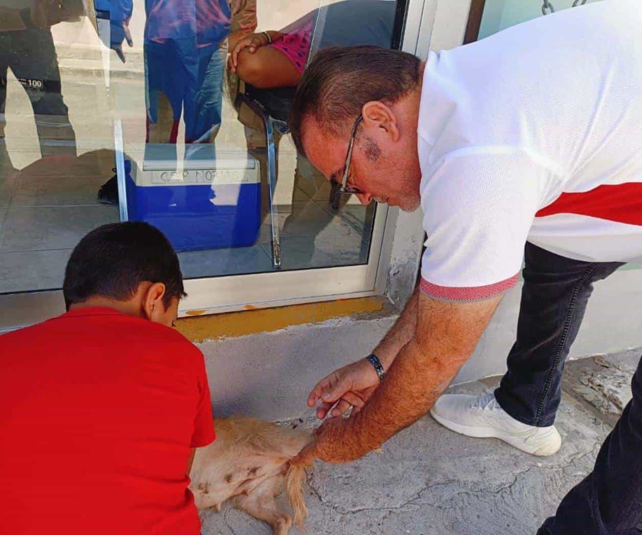 Refuerza programa de vacunación a mascotas