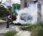 Para las ciudades de Reynosa y Matamoros: Inicia campaña de fumigación