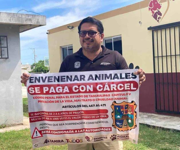 Penas de hasta 6 años de prisión: Piden a denunciar matanza de gatos Penas de hasta 6 años de prisión: Piden a denunciar matanza de gatos