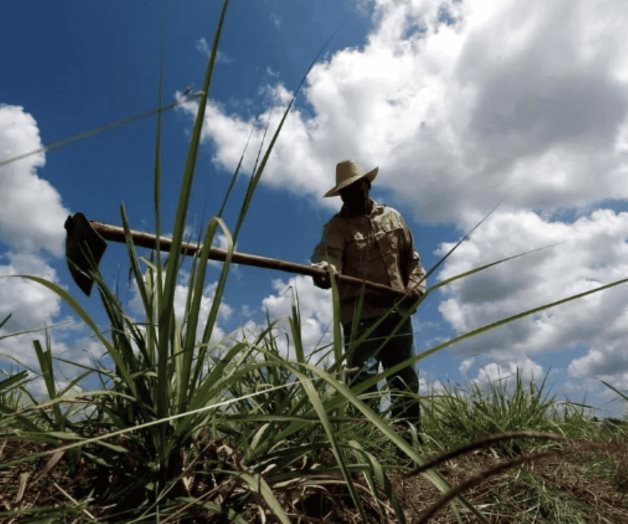 Afirman que AMLO quedó a deber en el campo