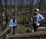 Desafíos y soluciones en la reforestación de bosques en Estados Unidos