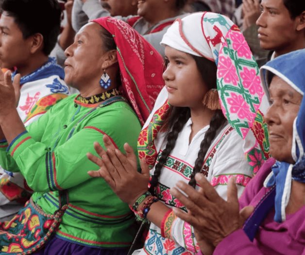 Declara Senado constitucionalidad de reforma a derechos indígenas