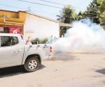 Anuncian combate intensivo contra transmisor del dengue