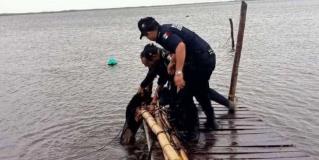 Perrito es rescatado por elementos de la Secretaría de Seguridad Pública