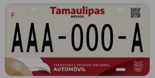 Así serán las nuevas placas que se renovarán en el 2025 en Tamaulipas.