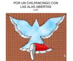 Por un Chilpancingo con las alas abiertas