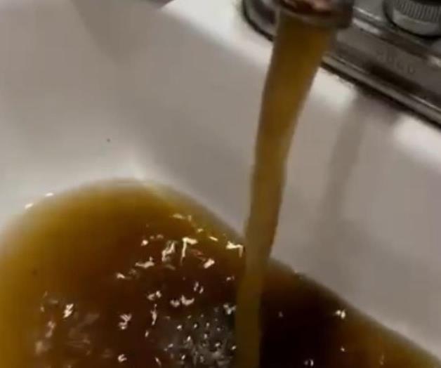 Problemas de calidad del agua y red de distribución en Guadalajara Problemas de calidad del agua y red de distribución en Guadalajara