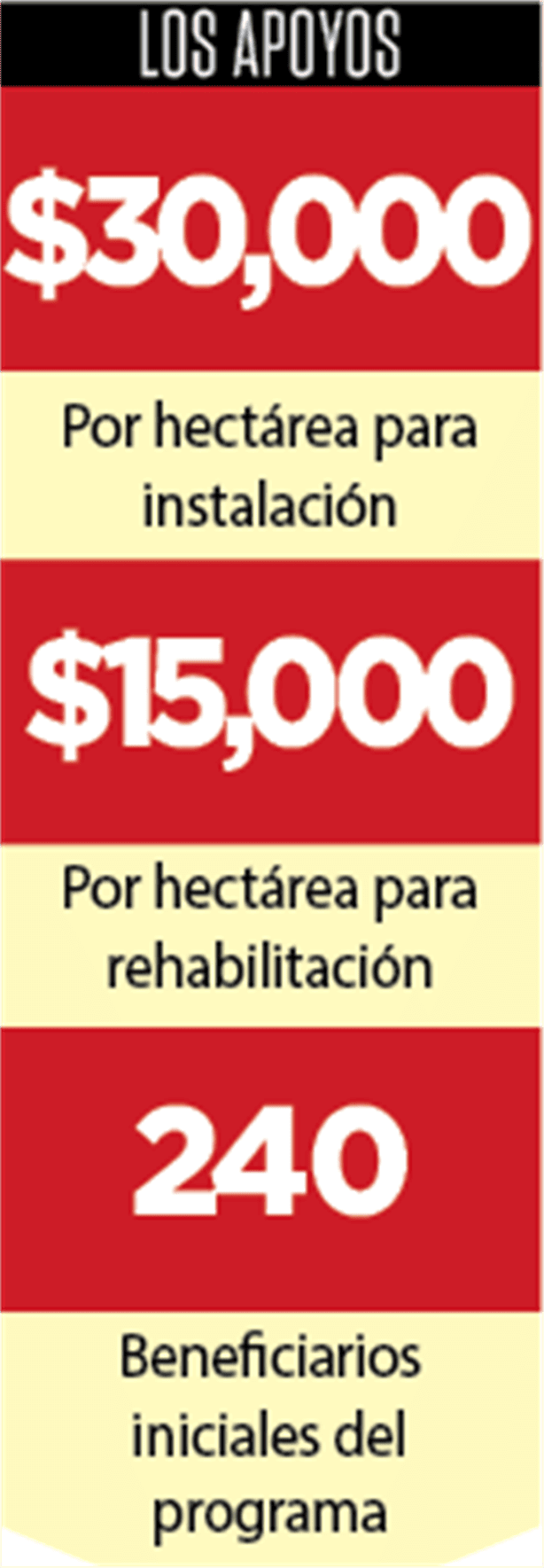 imagen-recuadro