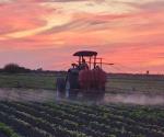 Arranca la siembra de trigo en San Fernando