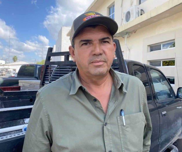 Se siembra menos por caida en el precio: Algodón a la baja Se siembra menos por caida en el precio: Algodón a la baja